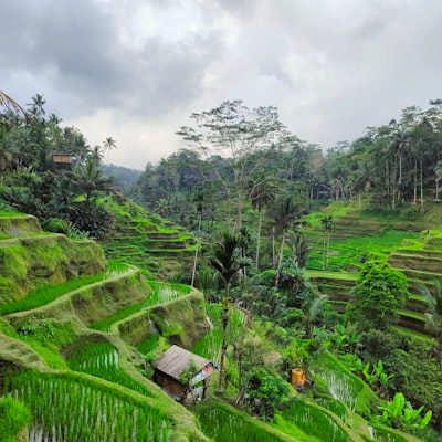 Tour Bali 4 ngày 3 đêm
