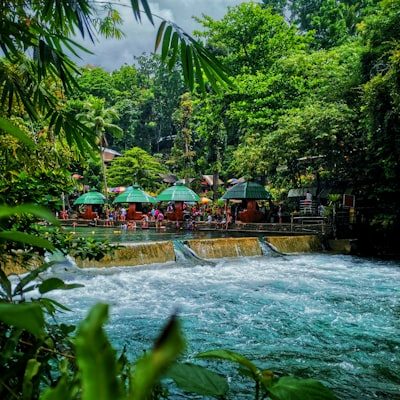 Vé Đầm Sen người lớn