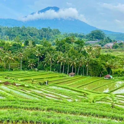 Tour Sa Pa 3 ngày 2 đêm